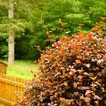 4 Personen Im Wald Mit Kamin, 84m², 3 Bad Harzburg