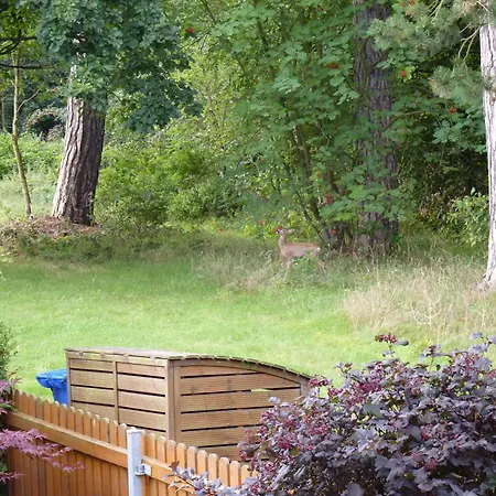 4 Personen Im Wald Mit Kamin, 84m², 3 Apartmán Bad Harzburg