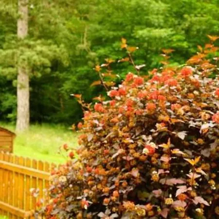 4 Personen Im Wald Mit Kamin, 84m², 3