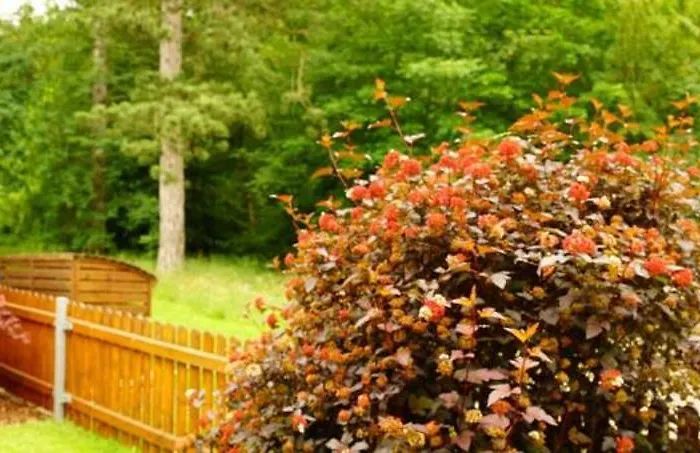 4 Personen Im Wald Mit Kamin, 84m², 3 Бад-Гарцбург