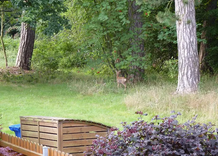 Апартаменты 4 Personen Im Wald Mit Kamin, 84m², 3