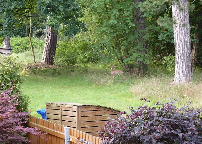 4 Personen Im Wald Mit Kamin, 84m², 3 Апартаменты Бад-Гарцбург